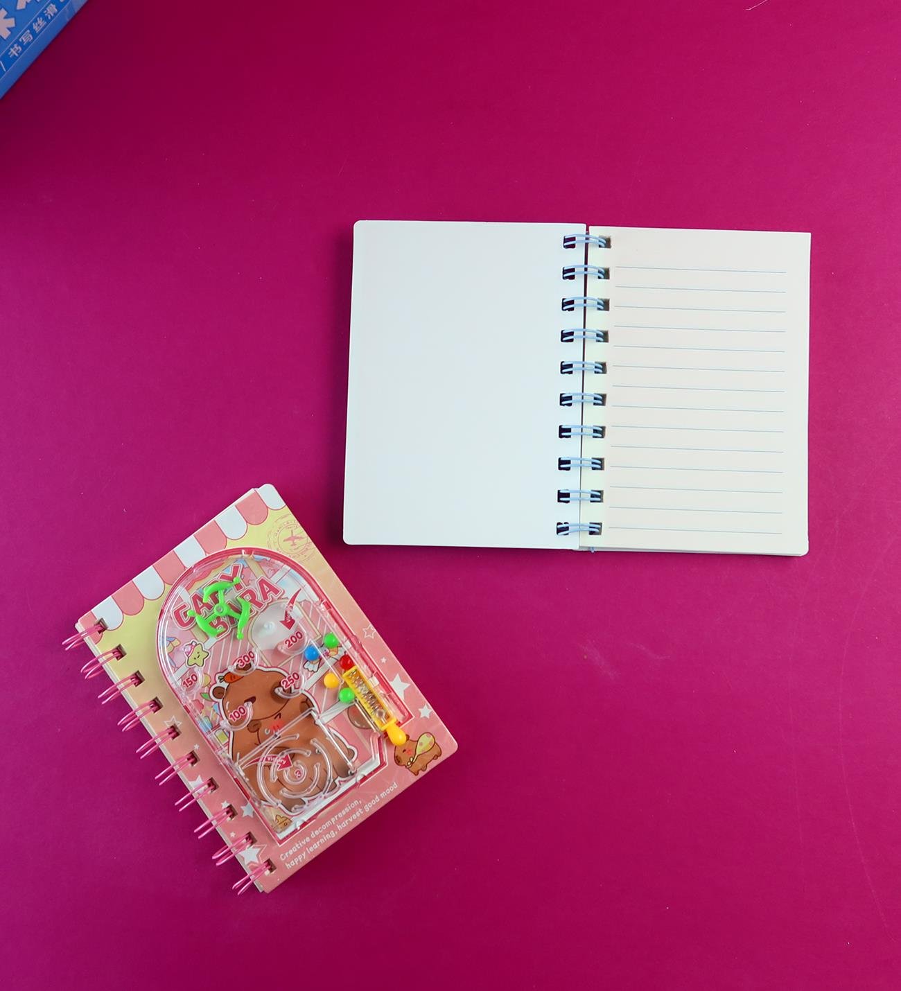 Capybara Oyun Kapaklı Spiralli Defter x12