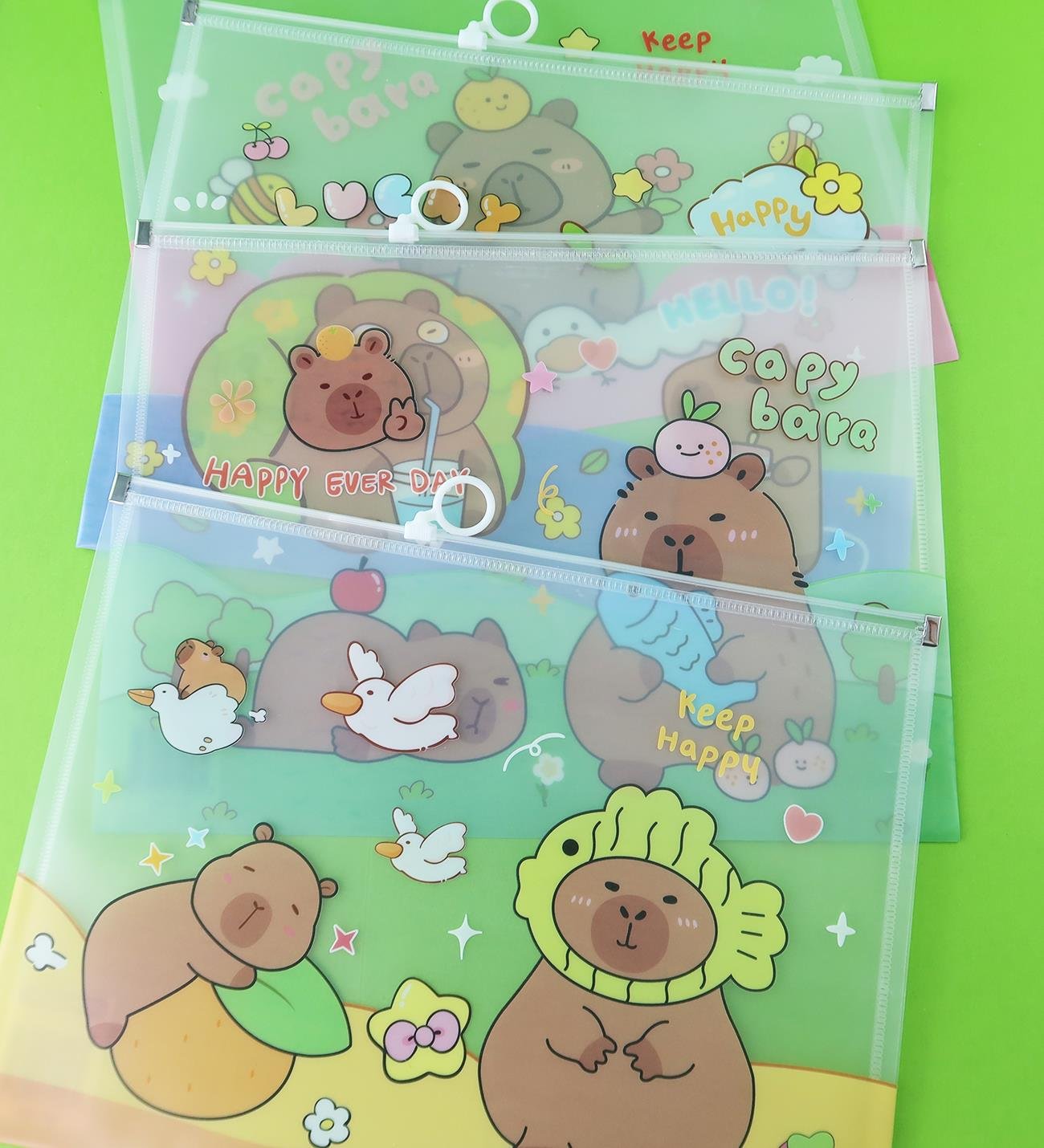 Capybara Tasarımlı A4 Dosya x12