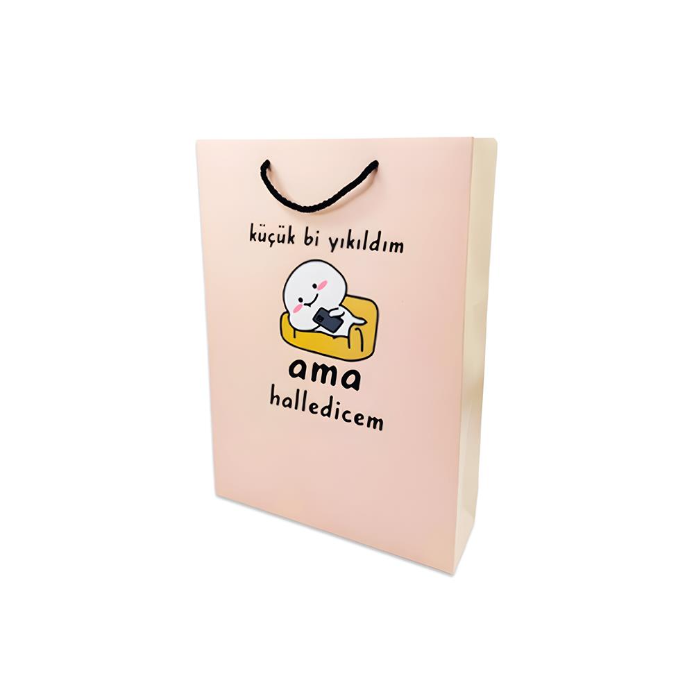 Karton Çanta 12x Karışık Model