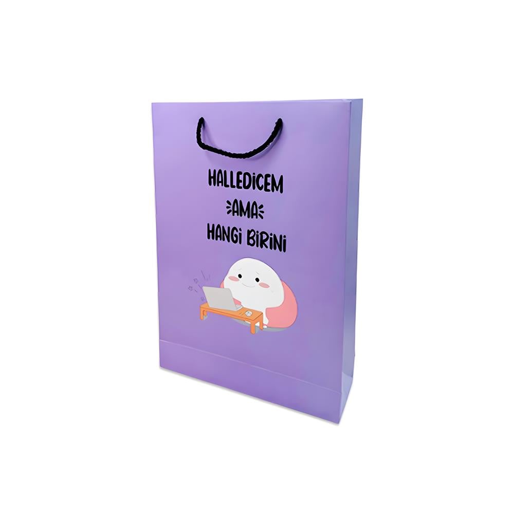 Karton Çanta 12x Karışık Model
