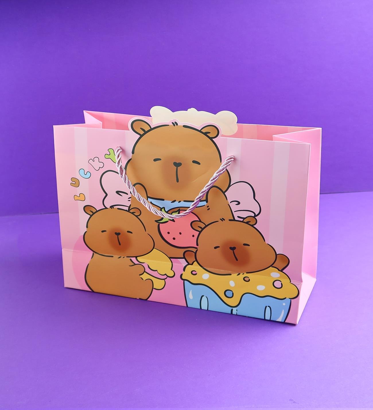 Karton Çanta 24,5x19,5 Cm x12