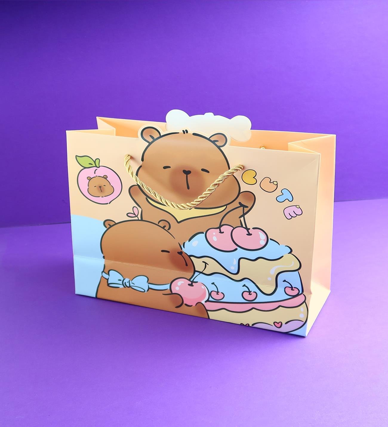 Karton Çanta 24,5x19,5 Cm x12