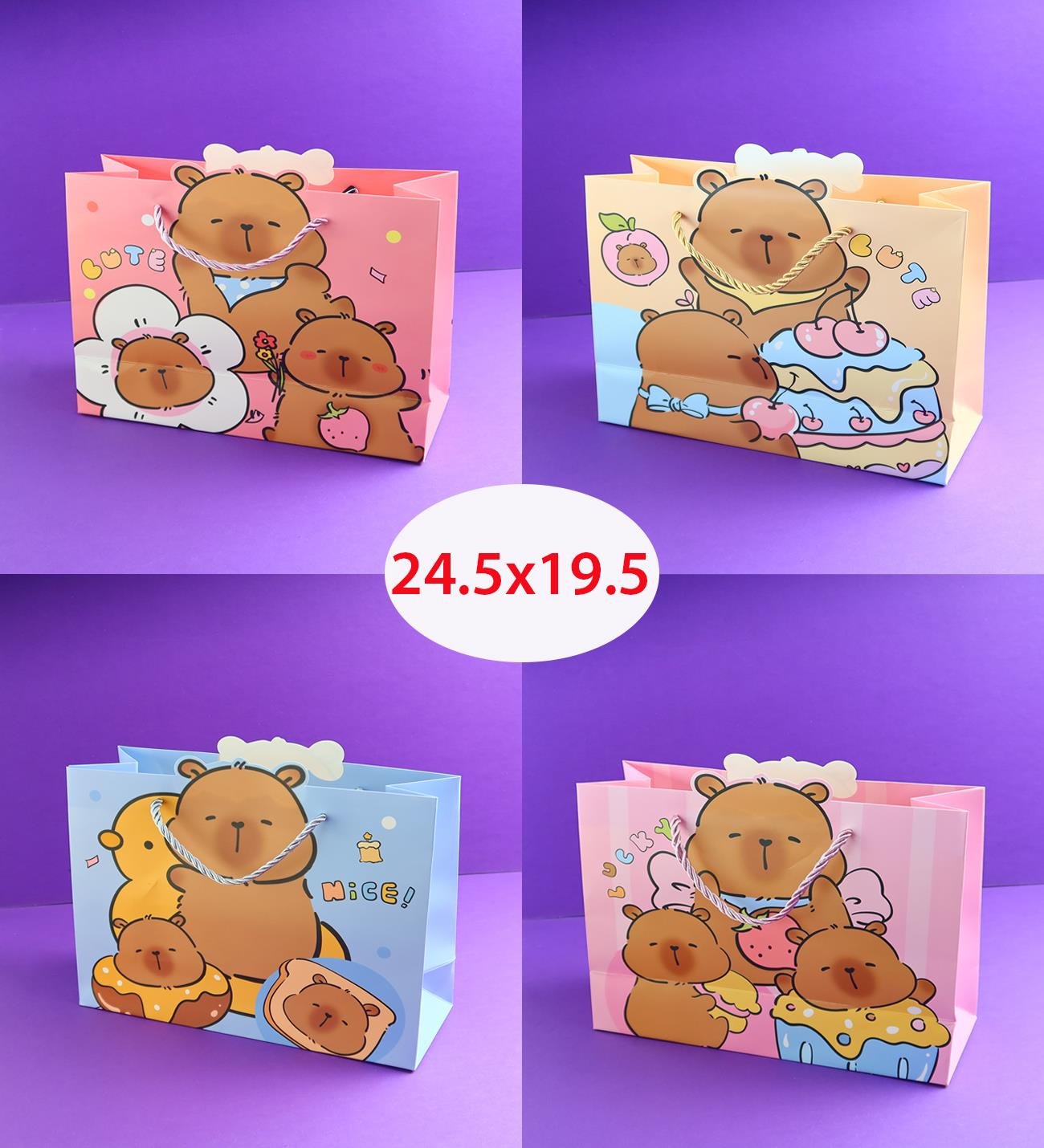 Karton Çanta 24,5x19,5 Cm x12