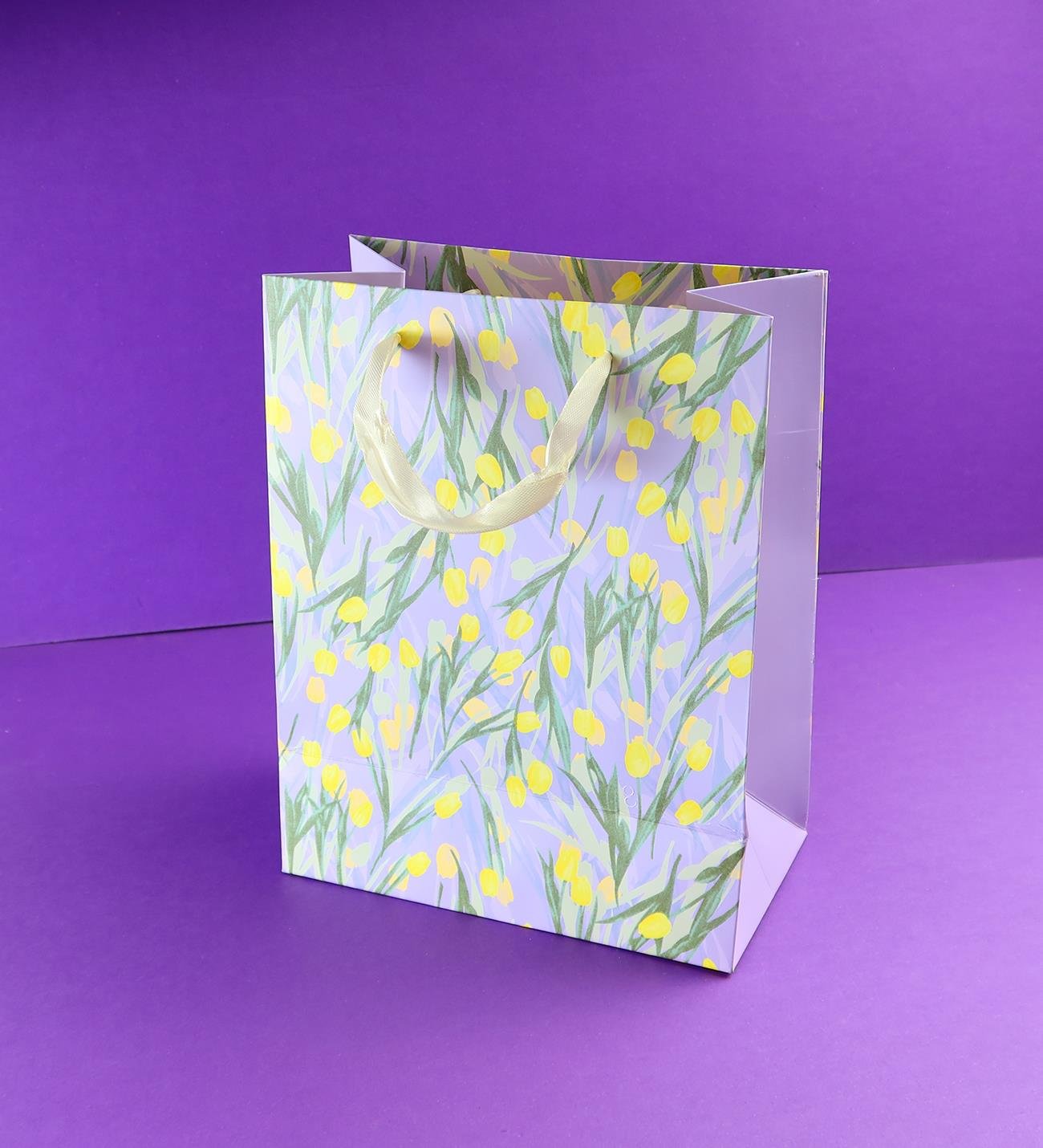 Karton Çanta 32x26 Cm x12