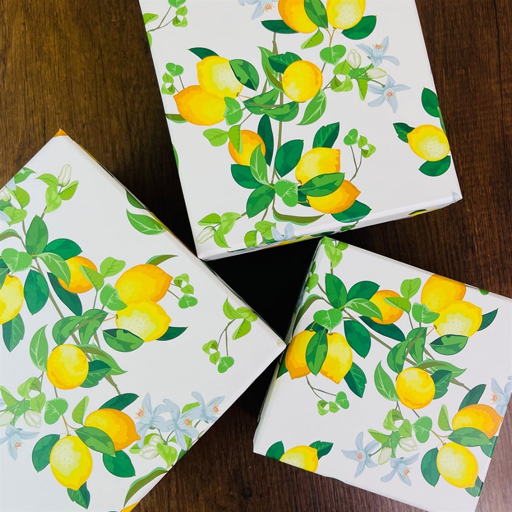 Limon Tasarımlı 3'lü Kutu