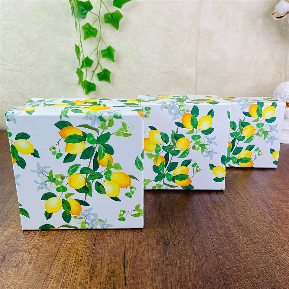 Limon Tasarımlı 3'lü Kutu