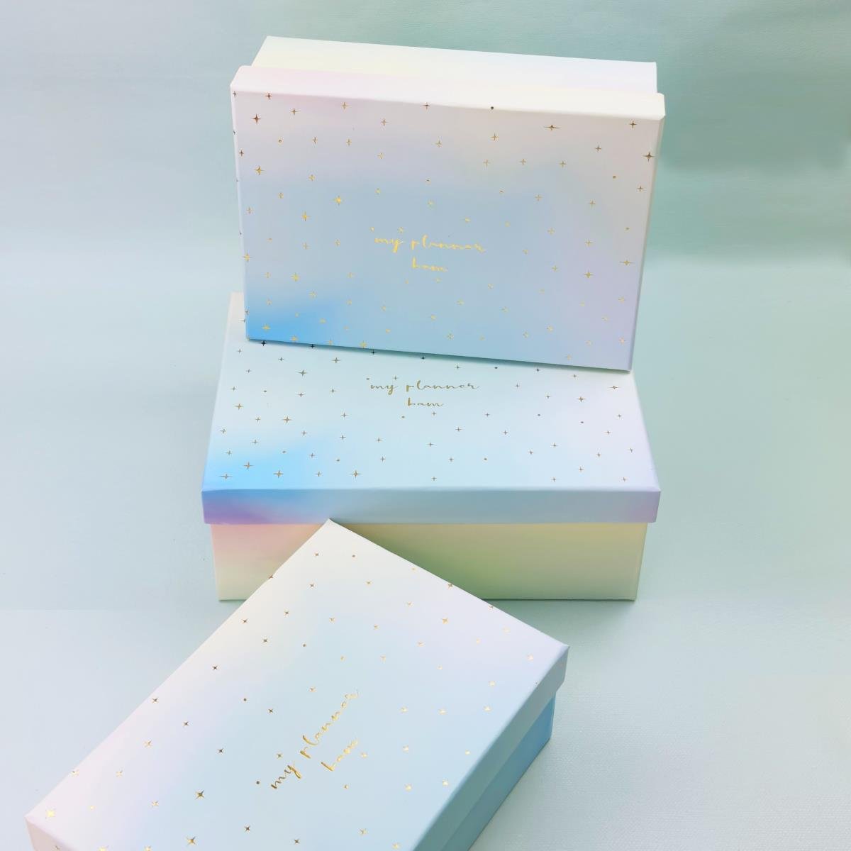 My Planner Dikdörtgen Kutu 3'lü