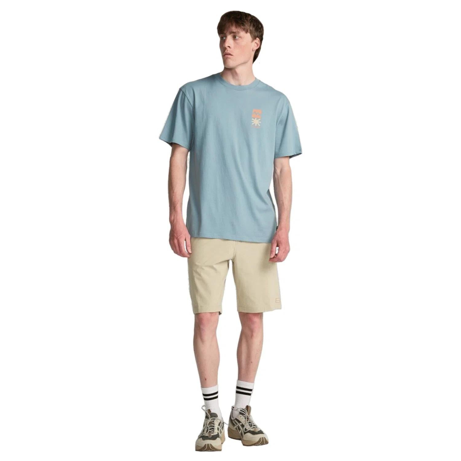 BILLABONG SEGMENT SS Erkek Tişört EBYZT00509-WBL