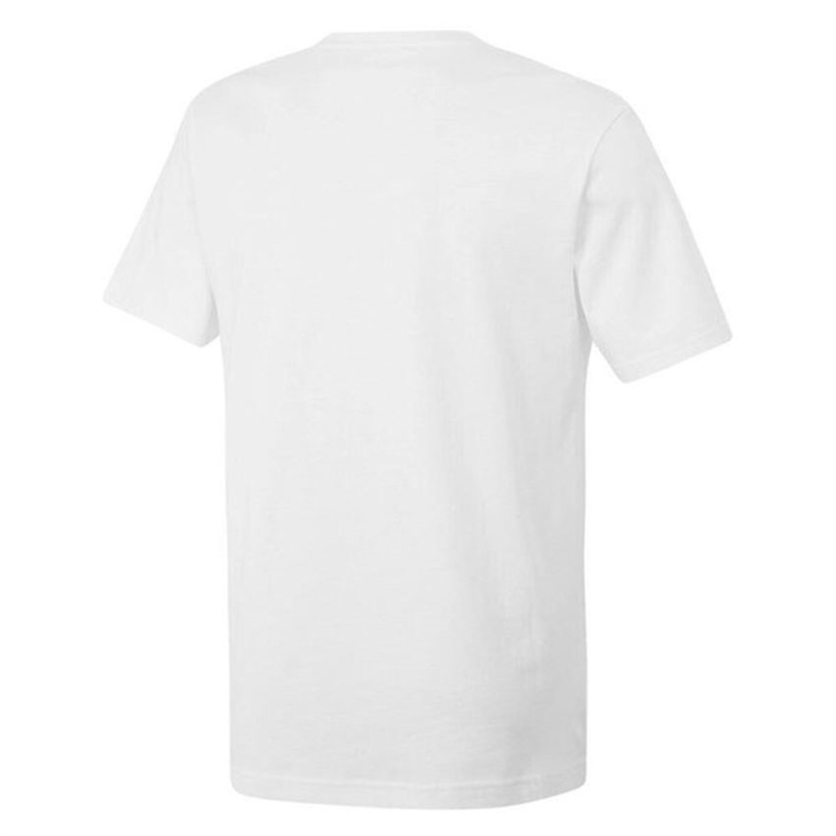 Columbia CSC M Basıc Bıg Logo Brushed SS Tee Erkek Tişört Beyaz CS0287-100