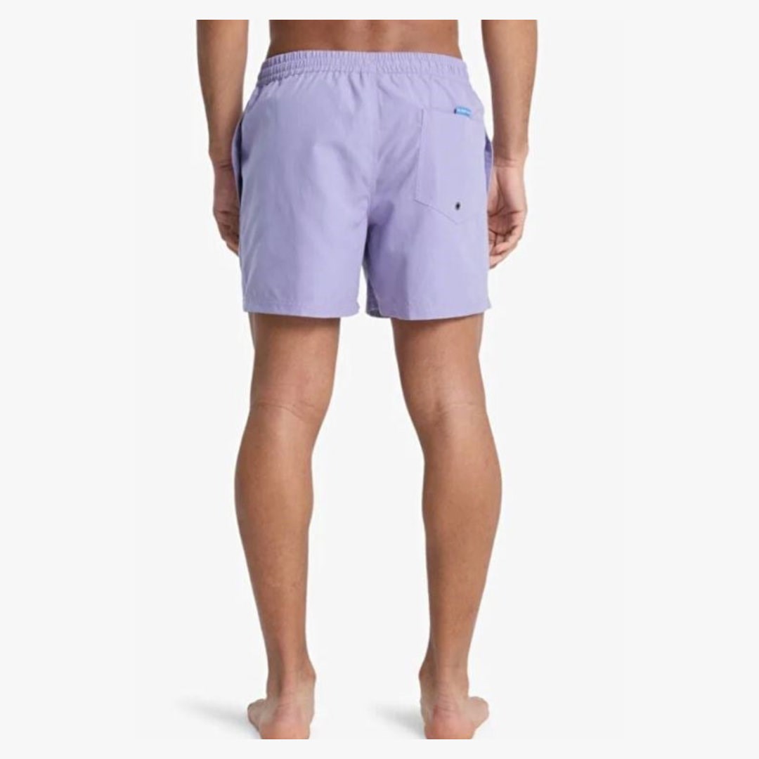 Quiksilver EVERYDAY 15 Mor Erkek Şort Mayo EQYJV04120
