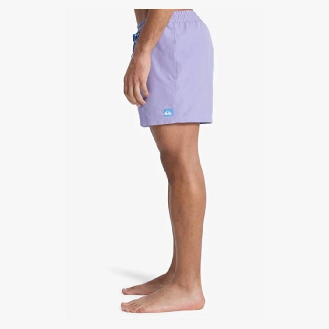 Quiksilver EVERYDAY 15 Mor Erkek Şort Mayo EQYJV04120