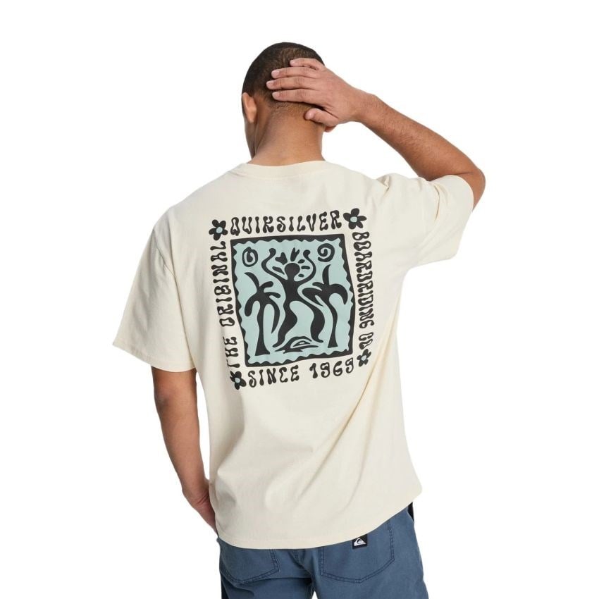Quiksilver Serenity Splash Erkek Beyaz Tişört EQYZT08300