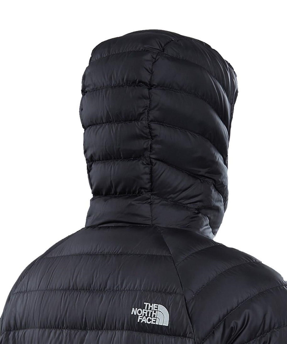 Trevail Hoodie Erkek Mont