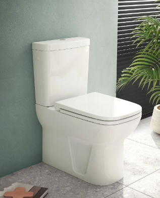 Vitra S20 Duvara Sıfır Klozet