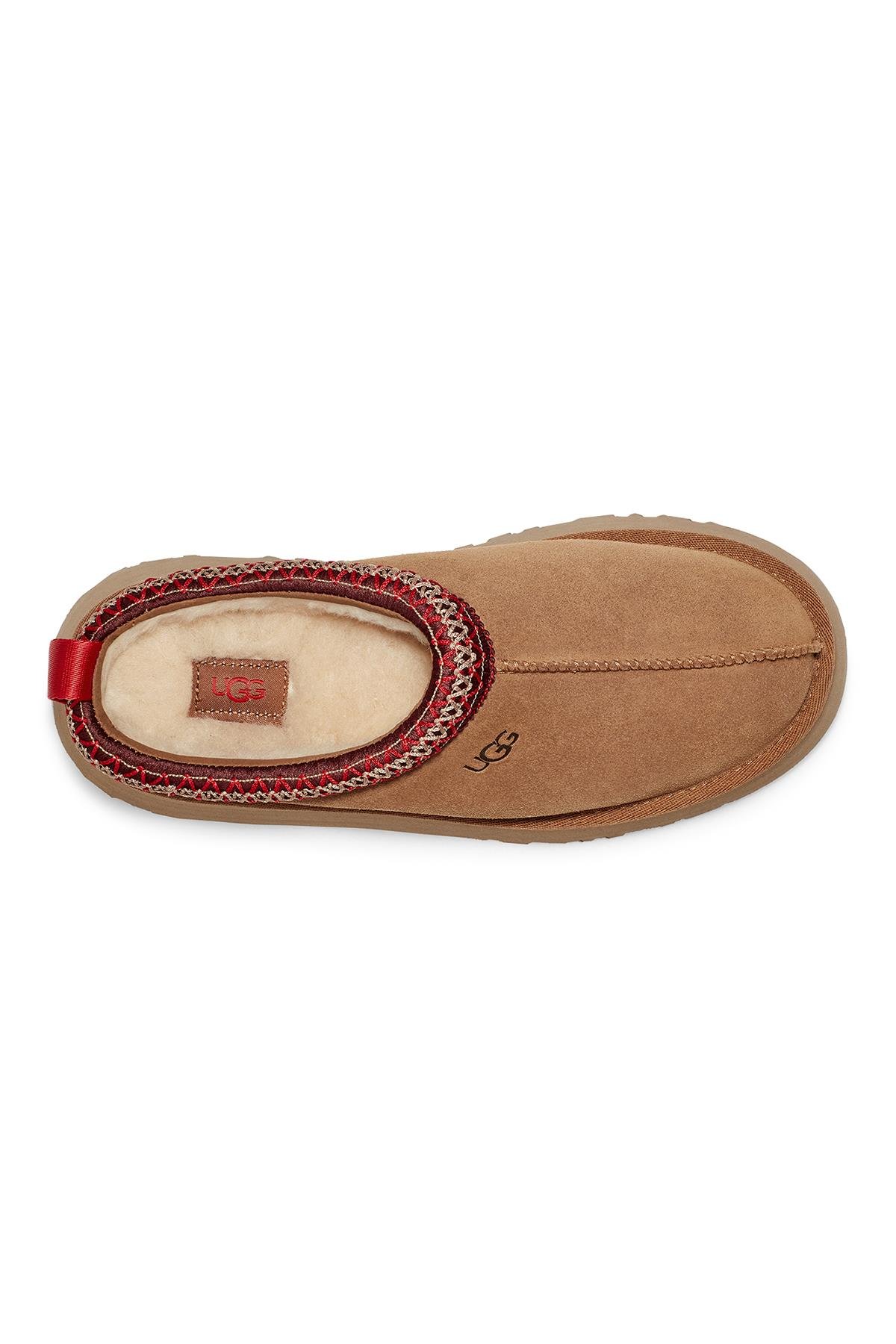 W TAZZ II CHESTNUT (TABA)