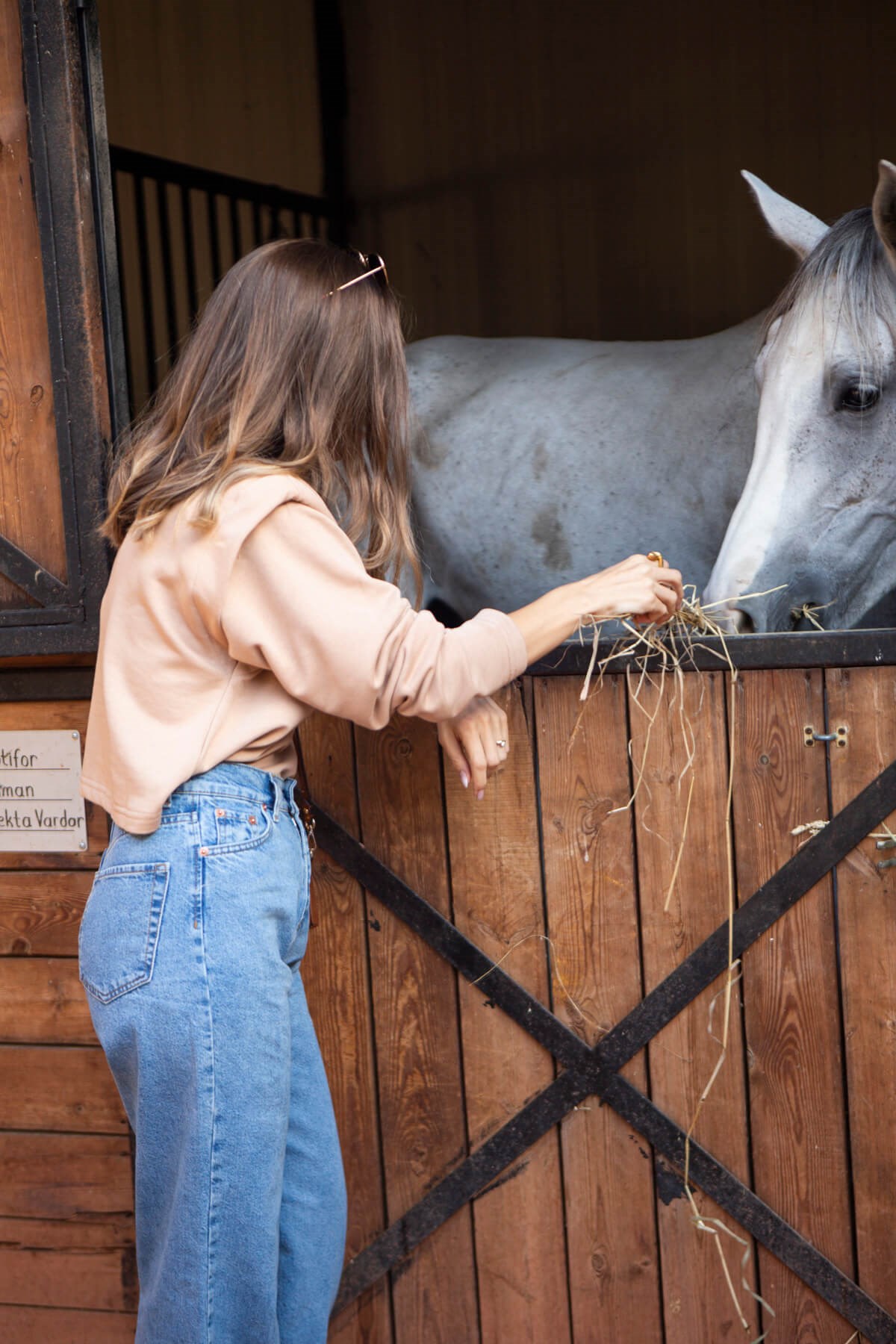 Sütlü Kahve Vatkalı Kısa Sweatshirt