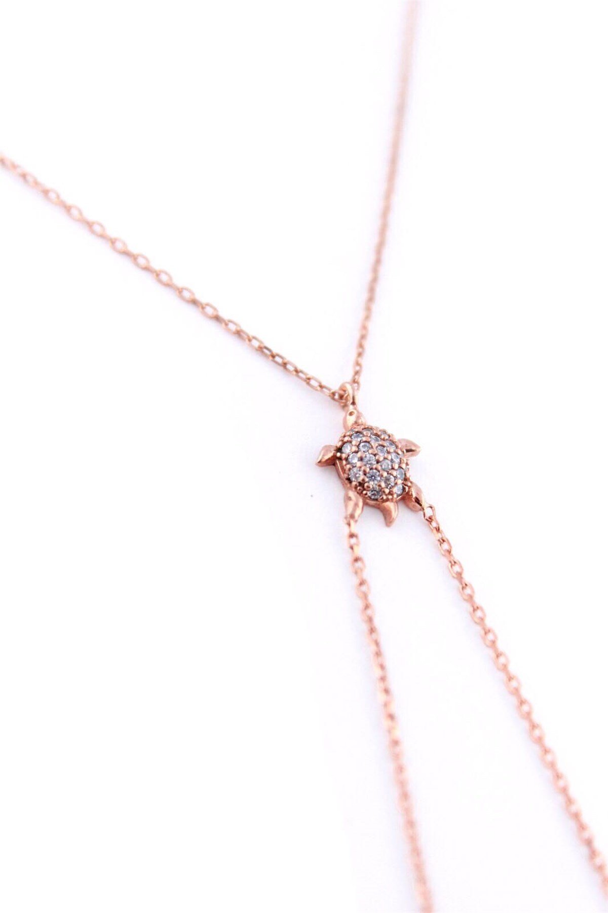 Kaplumbağa Şahmeran