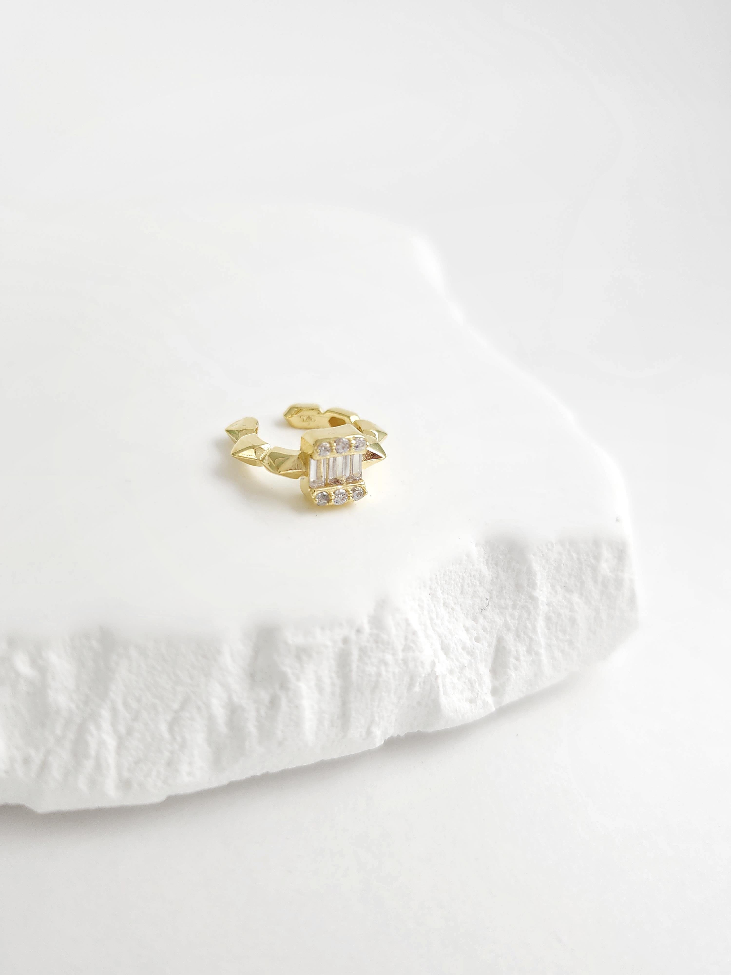 Kıkırdak Bagwt Küpe