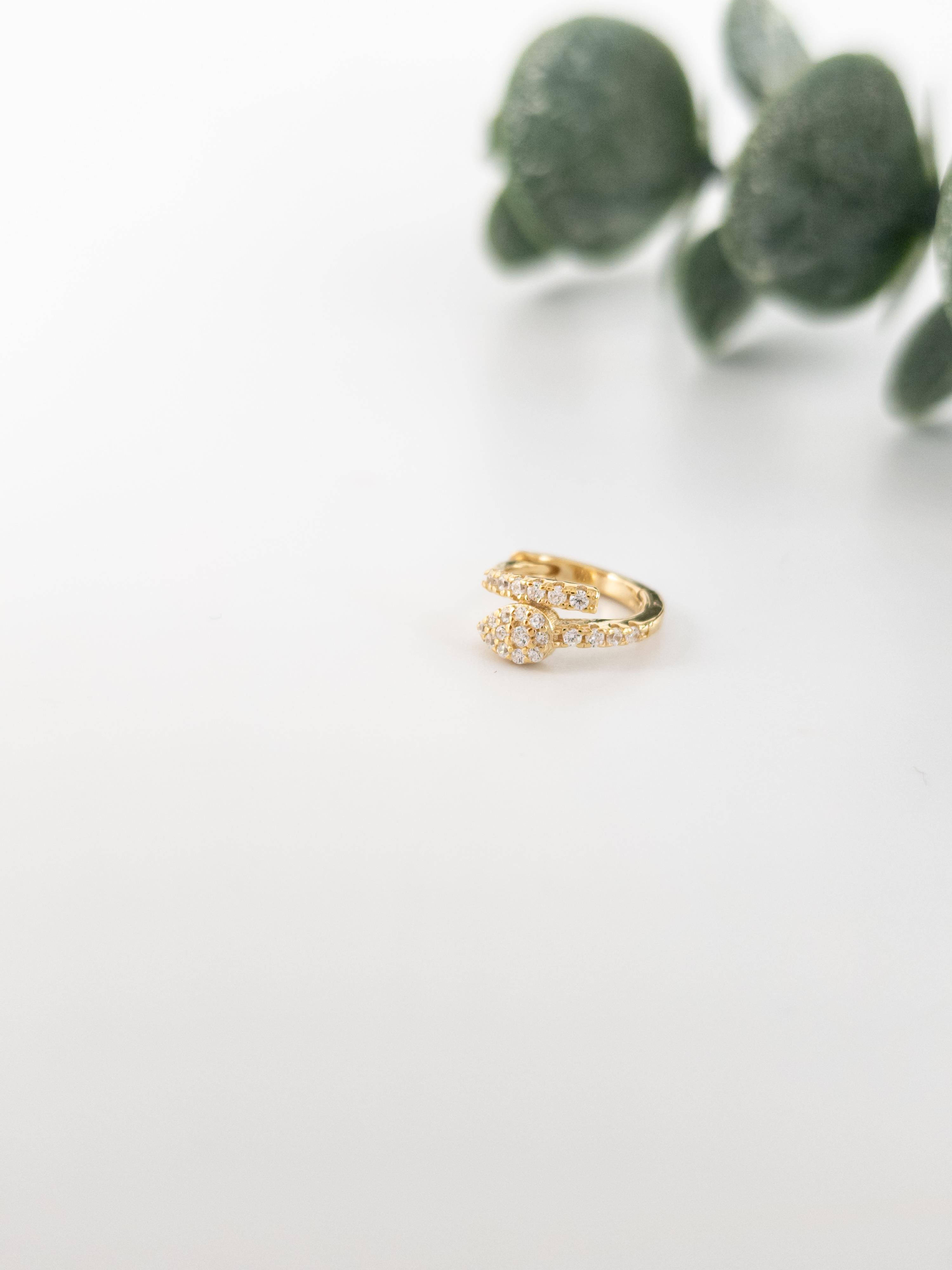 Tragus Helix Piercing