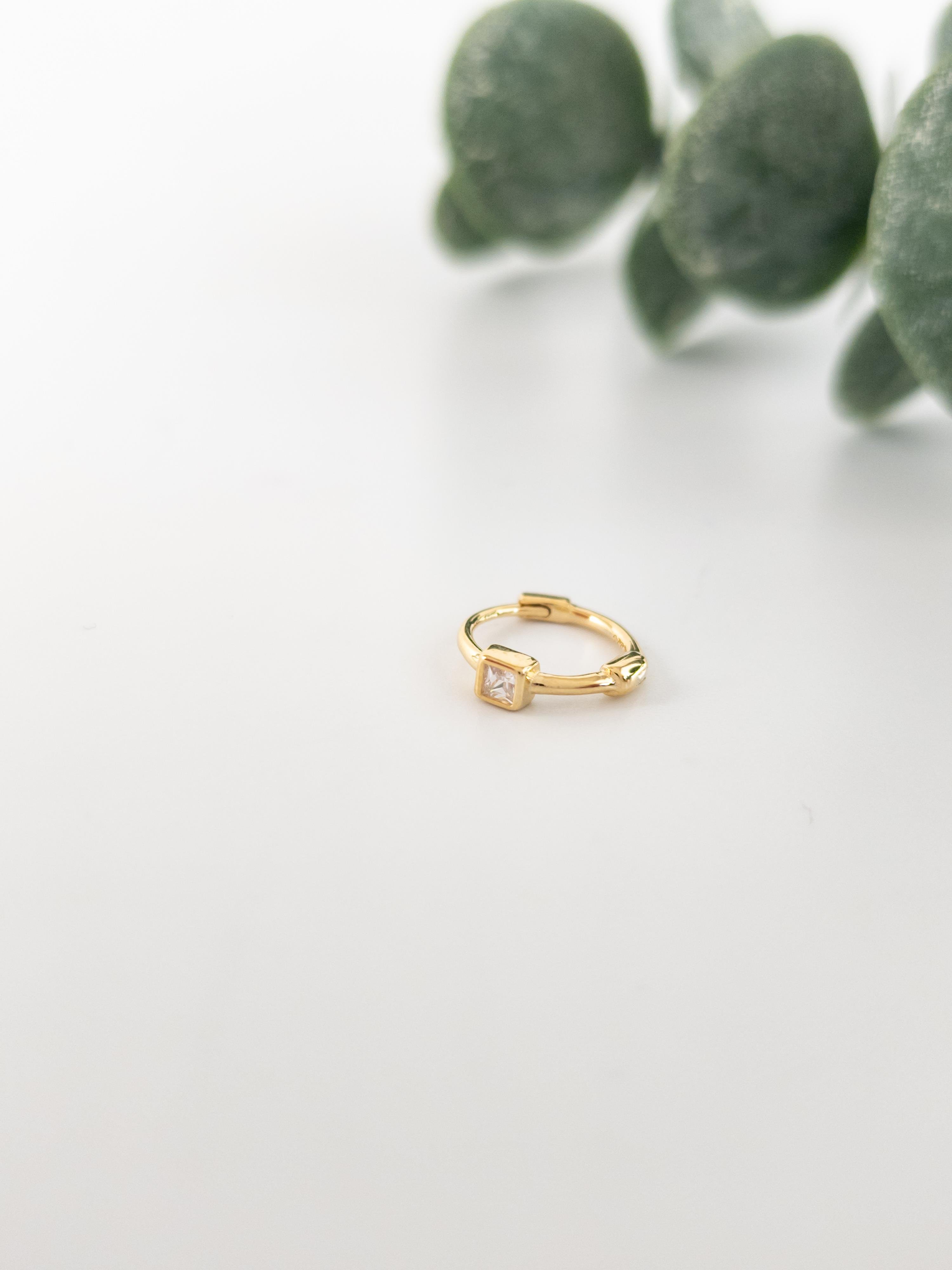 Tragus Helix Piercing