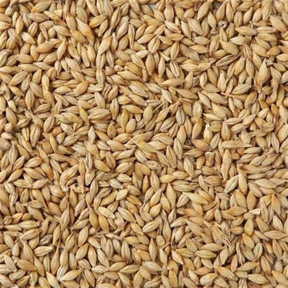 5 kg Pilsen maltı