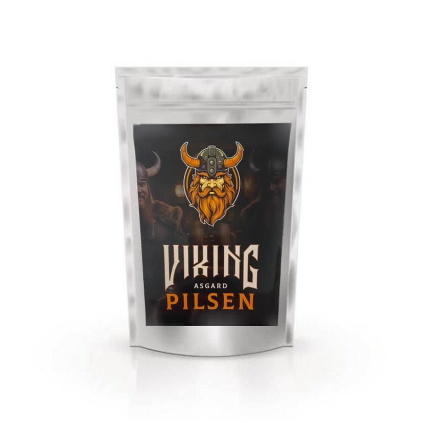 VIKING ASGARD PILSEN