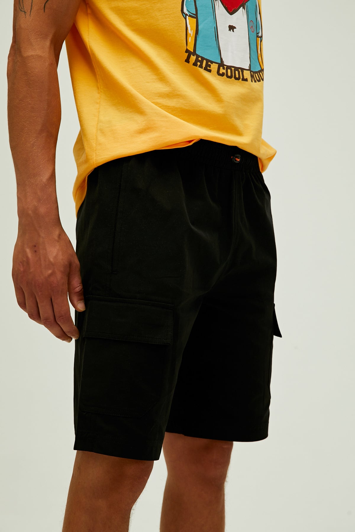 Albany Short Nıght