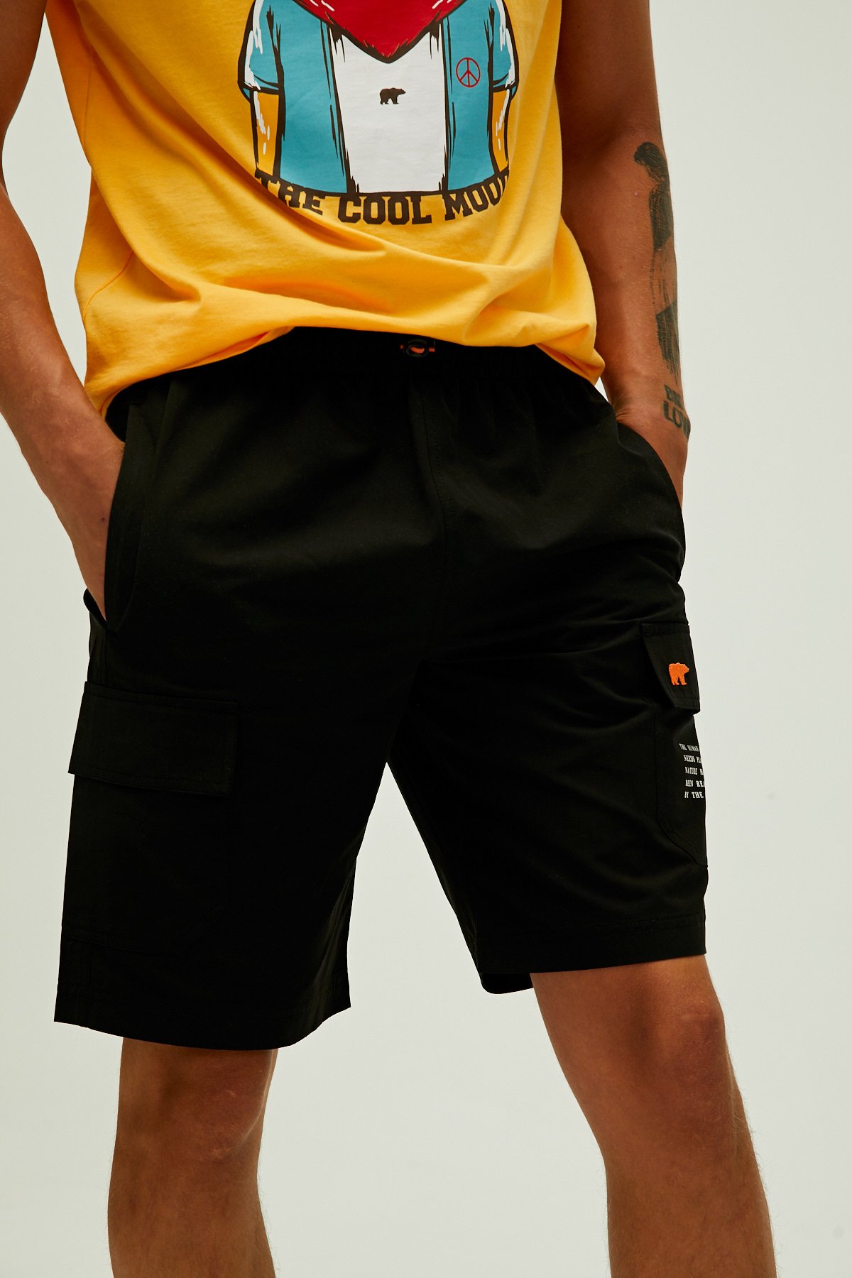Albany Short Nıght