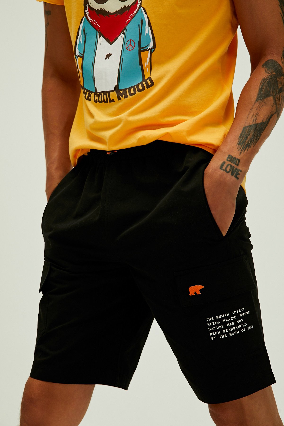 Albany Short Nıght