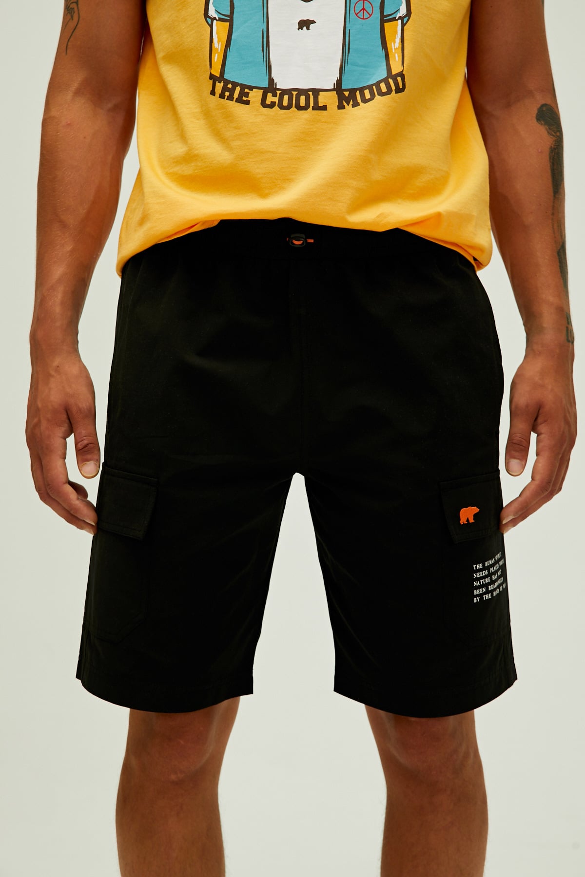 Albany Short Nıght