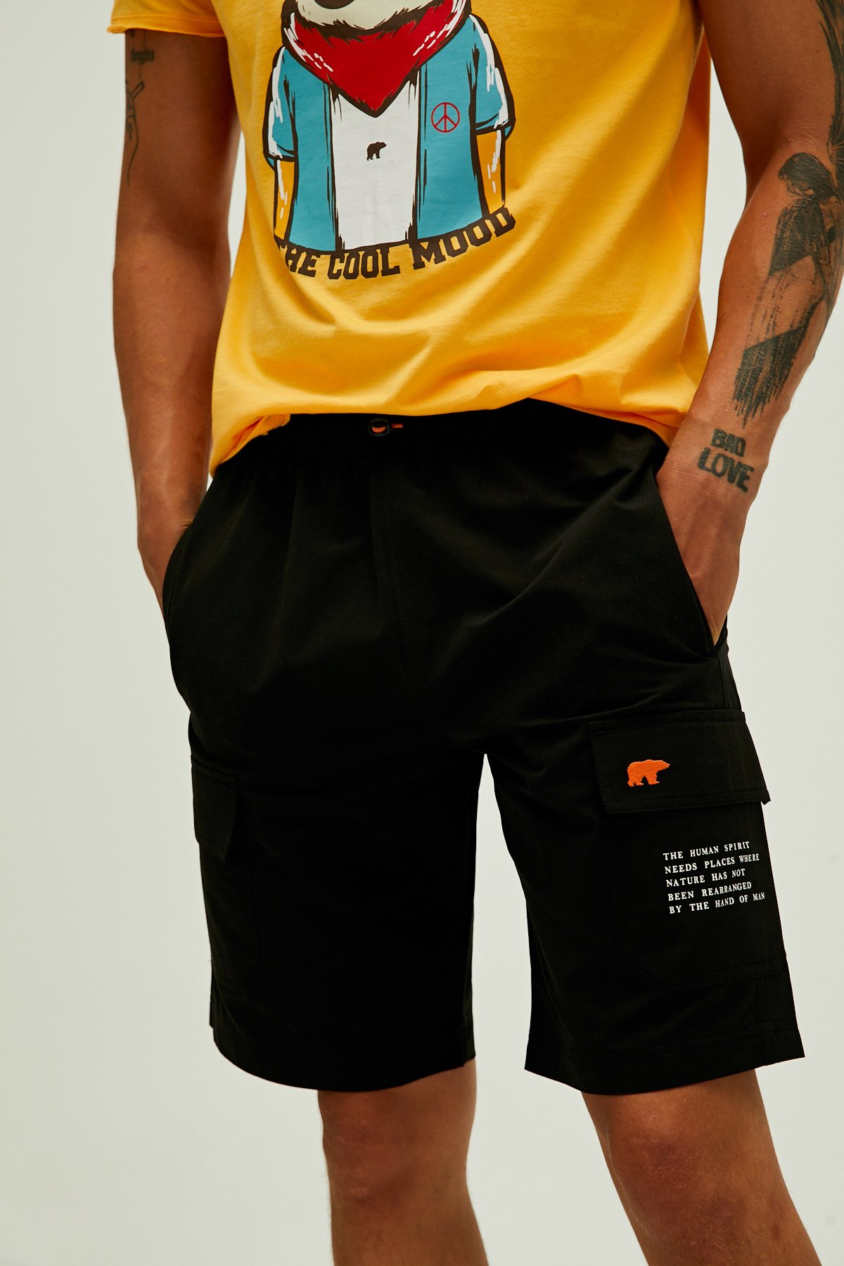 Albany Short Nıght
