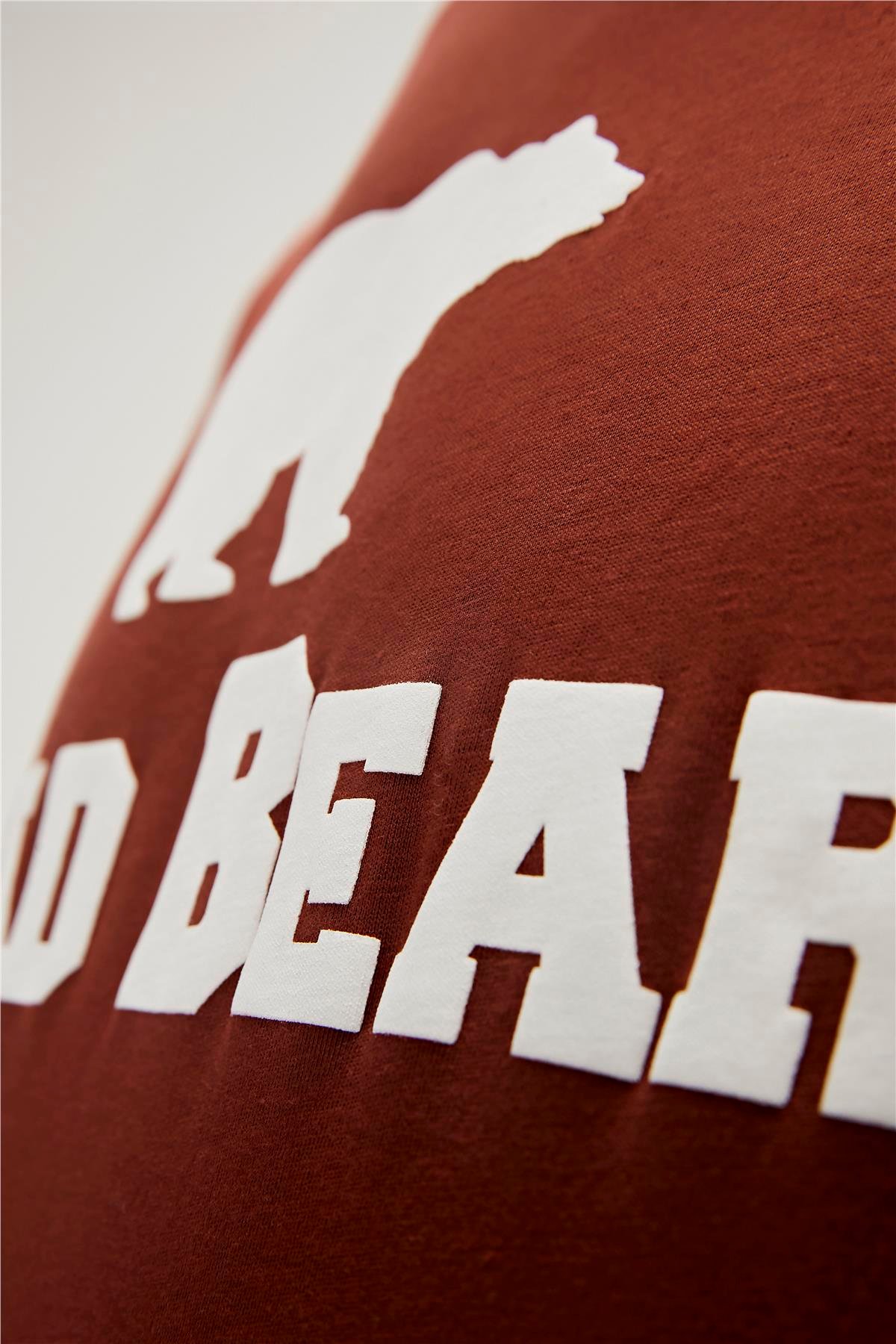 Bear Tee T-Shirt Woody Kahverengi Logo Baskılı Erkek Tişört 