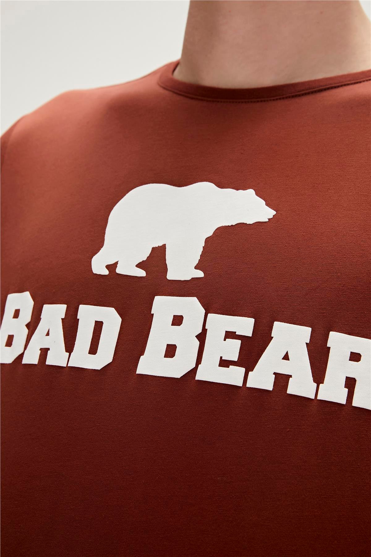 Bear Tee T-Shirt Woody Kahverengi Logo Baskılı Erkek Tişört 