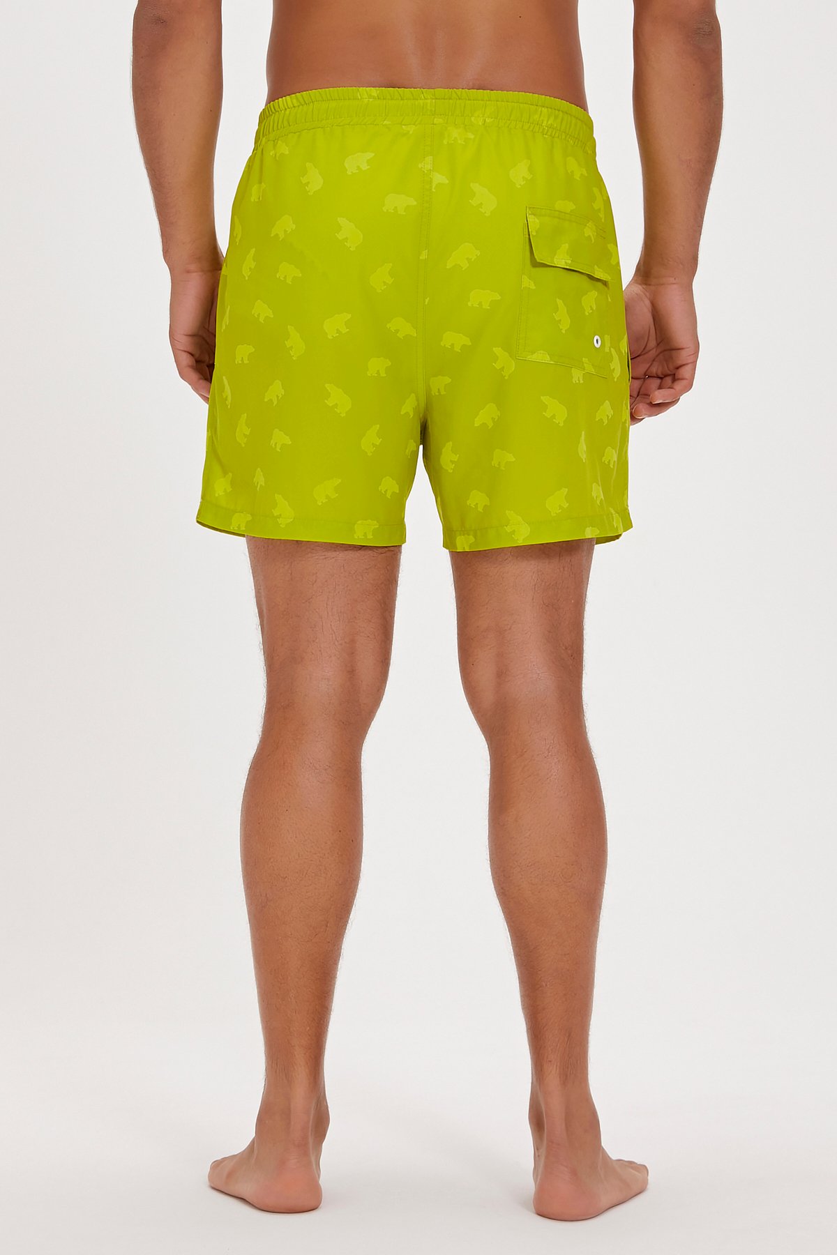 Chameleon Sulphur Men's Swimwear