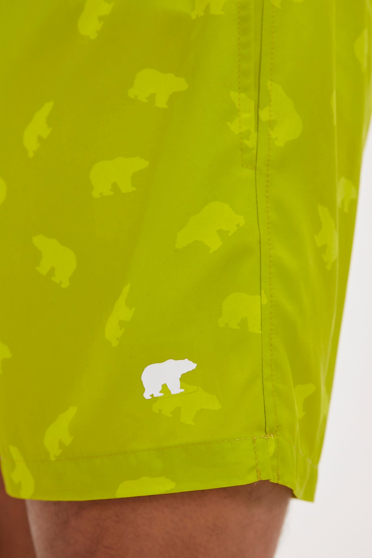 Chameleon Sulphur Men's Swimwear