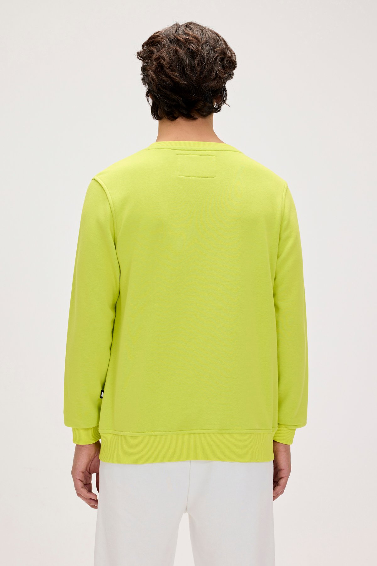 FURRY CREWNECK PRINTED CREWNECK SULPHUR  ERKEK SWEATSHIRT FURRY CREWNECKFURRY CREWNECK