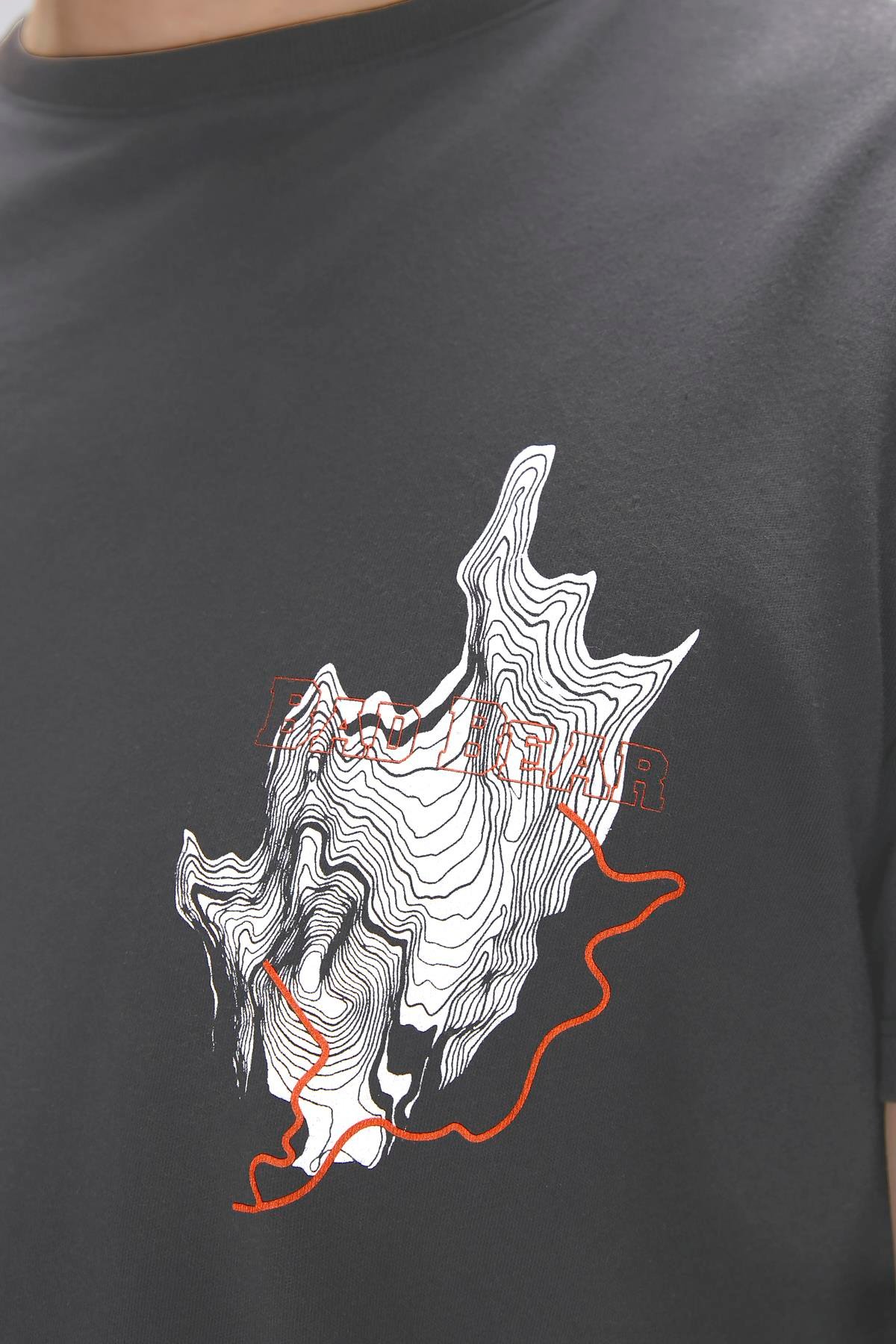 Gerald Antrasit Erkek Baskılı Tişört