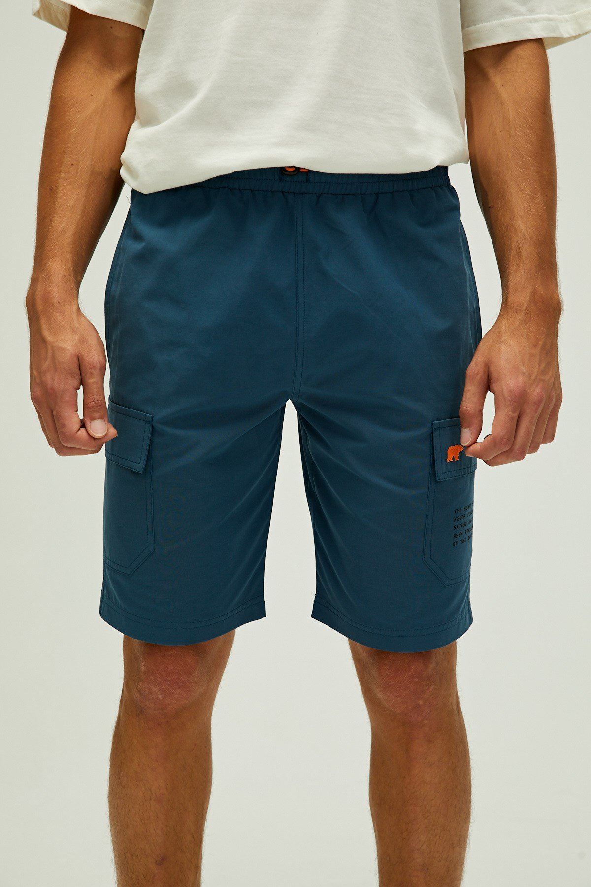 Toleda Short Petroleum