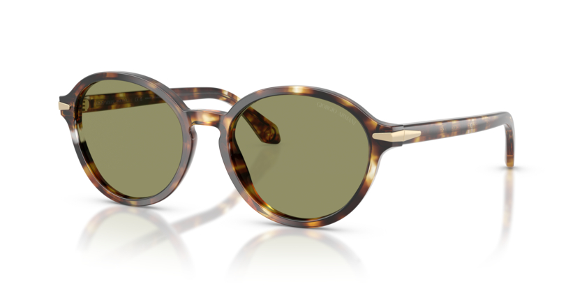 GIORGIO ARMANIAR 8237 623214 53GIORGIO ARMANI 0AR8237 623214 53 Unisex Güneş GözlüğüGIORGIO ARMANI 0AR8237 623214 53 Unisex Güneş Gözlüğü