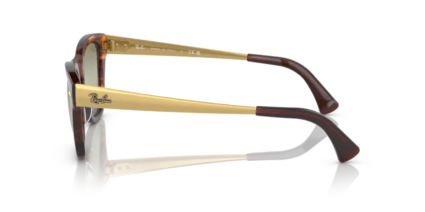 RAY-BANRAYBAN RB 0707SM 954/G4 53 GRAY-BAN RB 0707SM 954/G4 53 Unisex Güneş GözlüğüRAY-BAN RB 0707SM 954/G4 53 Unisex Güneş Gözlüğü