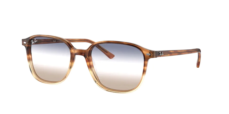 RAY-BANRAYBAN RB 2193 1328GD 53 GRAY-BAN RB 2193 1328GD 53 Unisex Güneş GözlüğüRAY-BAN RB 2193 1328GD 53 Unisex Güneş Gözlüğü