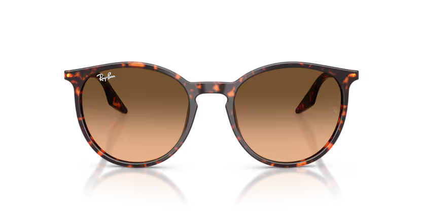 RAY-BANRAYBAN RB 2204 14293B 54 GRAY-BAN RB 2204 14293B 54 Unisex Güneş GözlüğüRAY-BAN RB 2204 14293B 54 Unisex Güneş Gözlüğü