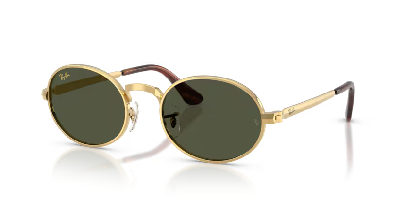 RAY-BANRAYBAN RB 3931 001/31 54 GRAY-BAN RB 3931 001/31 54 Unisex Güneş GözlüğüRAY-BAN RB 3931 001/31 54 Unisex Güneş Gözlüğü