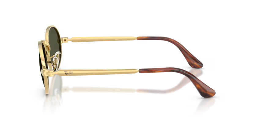 RAY-BANRAYBAN RB 3931 001/31 54 GRAY-BAN RB 3931 001/31 54 Unisex Güneş GözlüğüRAY-BAN RB 3931 001/31 54 Unisex Güneş Gözlüğü