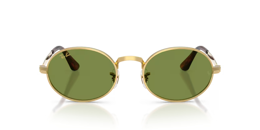 RAY-BANRAYBAN RB 3931 001/4E 54 GRAY-BAN RB 3931 001/4E 54 Unisex Güneş GözlüğüRAY-BAN RB 3931 001/4E 54 Unisex Güneş Gözlüğü
