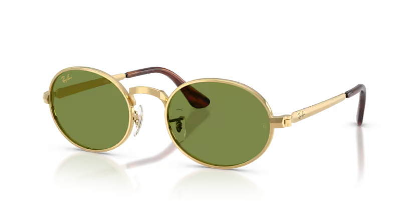 RAY-BANRAYBAN RB 3931 001/4E 54 GRAY-BAN RB 3931 001/4E 54 Unisex Güneş GözlüğüRAY-BAN RB 3931 001/4E 54 Unisex Güneş Gözlüğü