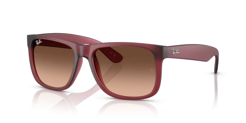 RAY-BANRAYBAN RB 4165 6815A5 55 GRAY-BAN RB 4165 6815A5 55 Unisex Güneş GözlüğüRAY-BAN RB 4165 6815A5 55 Unisex Güneş Gözlüğü