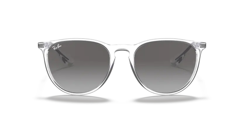 RAY-BANRAYBAN RB 4171 651611 54 GRAY-BAN RB 4171 651611 54 Unisex Güneş GözlüğüRAY-BAN RB 4171 651611 54 Unisex Güneş Gözlüğü