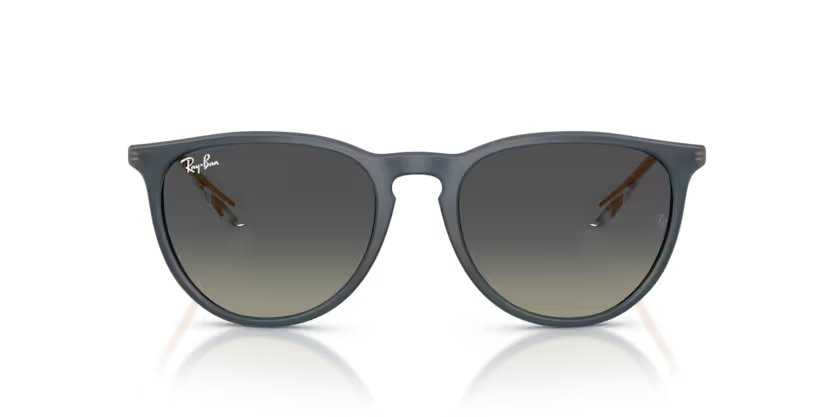 RAY-BANRAYBAN RB 4171 681311 54 GRAY-BAN RB 4171 681311 54 Unisex Güneş GözlüğüRAY-BAN RB 4171 681311 54 Unisex Güneş Gözlüğü