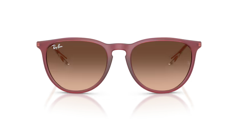 RAY-BANRAYBAN RB 4171 6815A5 54 GRAY-BAN RB 4171 6815A5 54 Unisex Güneş GözlüğüRAY-BAN RB 4171 6815A5 54 Unisex Güneş Gözlüğü